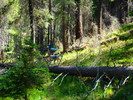 photo thumbnail #3