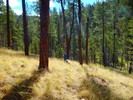 photo thumbnail #4