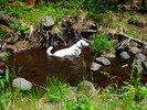 photo thumbnail #6