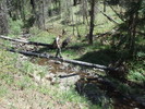 photo thumbnail #11