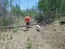 photo thumbnail #1