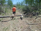 photo thumbnail #2