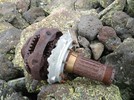 photo thumbnail #5