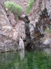 photo thumbnail #10