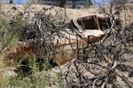 photo thumbnail #7