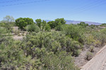 photo thumbnail #1