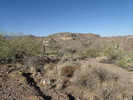 photo thumbnail #2
