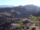 photo thumbnail #8