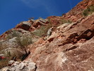 photo thumbnail #12