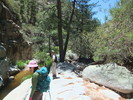 photo thumbnail #5