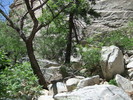 photo thumbnail #8