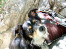 photo thumbnail #9