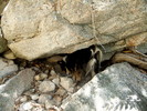 photo thumbnail #10