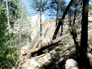 photo thumbnail #11