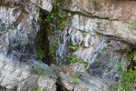 photo thumbnail #11