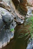 photo thumbnail #12