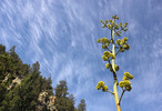 photo thumbnail #14