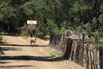 photo thumbnail #15