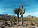 photo thumbnail #2