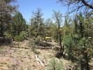photo thumbnail #6