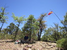 photo thumbnail #5
