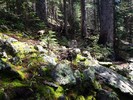 photo thumbnail #11