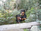 photo thumbnail #13