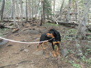 photo thumbnail #15