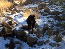 photo thumbnail #5