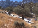 photo thumbnail #9