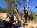 photo thumbnail #10