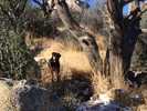 photo thumbnail #11