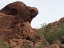 photo thumbnail #6