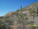 photo thumbnail #8