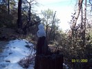 photo thumbnail #9