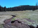 photo thumbnail #13
