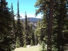 photo thumbnail #15