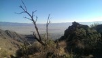 photo thumbnail #3