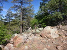 photo thumbnail #9