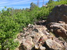 photo thumbnail #10
