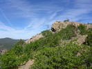2014-06-04 :1: Mount Union - Bradshaw Mountains :: kingsnake