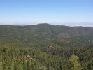 2014-06-04 :1: Mount Union - Bradshaw Mountains :: kingsnake