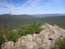 2014-06-04 :1: Mount Union - Bradshaw Mountains :: kingsnake