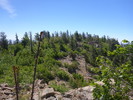 2014-06-04 :1: Mount Union - Bradshaw Mountains :: kingsnake