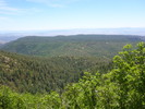 Featured Full Photo