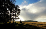 photo thumbnail #4