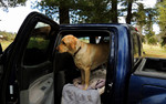 photo thumbnail #9
