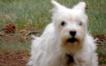photo thumbnail #10