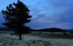 photo thumbnail #15