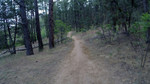 recent photo